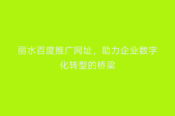 丽水百度推广网址，助力企业数字化转型的桥梁