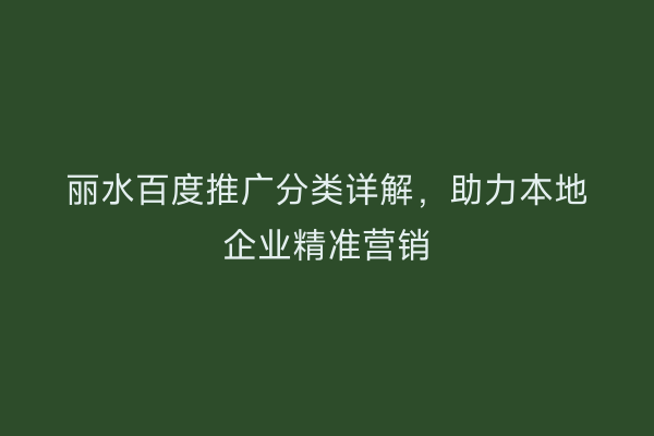 丽水百度推广分类详解,助力本地企业精准营销