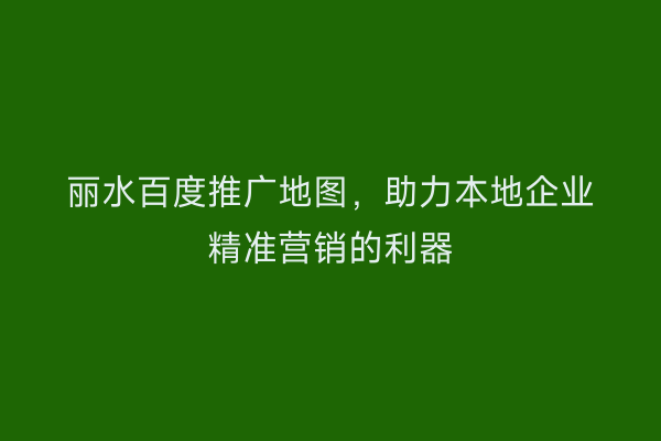 丽水百度推广地图,助力本地企业精准营销的利器