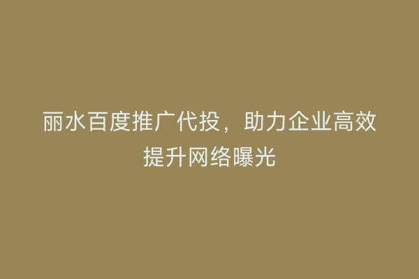 丽水百度推广代投,助力企业高效提升网络曝光