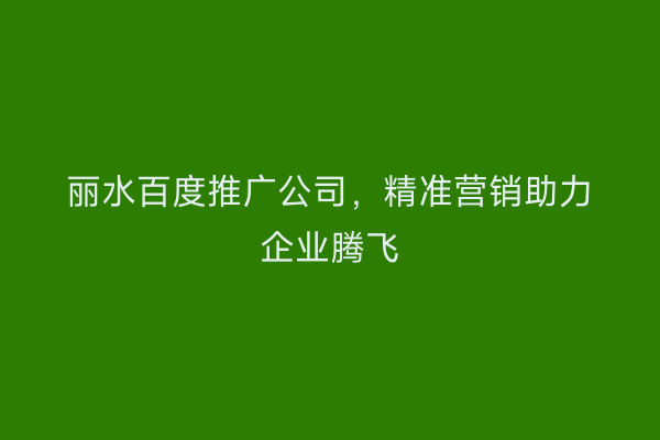 丽水百度推广公司,精准营销助力企业腾飞