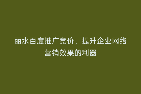 丽水百度推广竞价，提升企业网络营销效果的利器