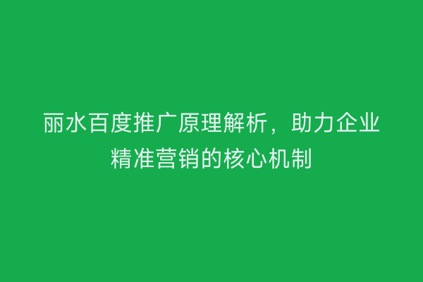 丽水百度推广原理解析，助力企业精准营销的核心机制