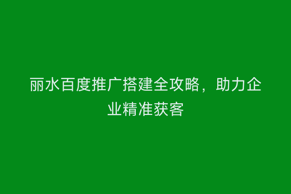 丽水百度推广搭建全攻略,助力企业精准获客