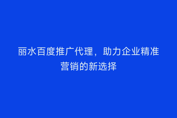 丽水百度推广代理,助力企业精准营销的新选择