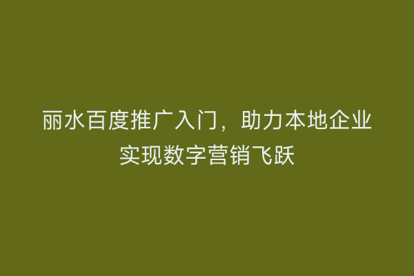 丽水百度推广入门，助力本地企业实现数字营销飞跃