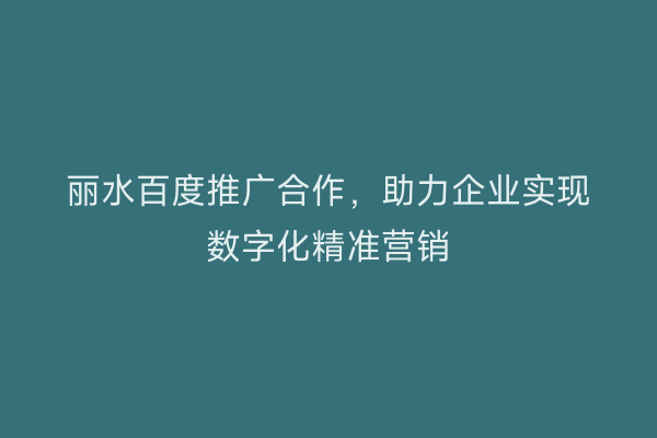 丽水百度推广合作,助力企业实现数字化精准营销