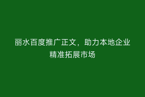 丽水百度推广正文,助力本地企业精准拓展市场