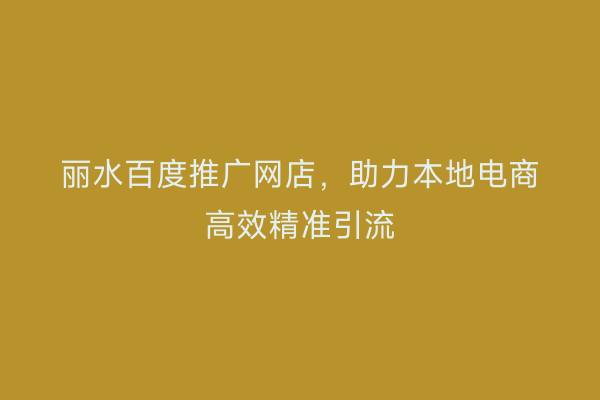 丽水百度推广网店,助力本地电商高效精准引流
