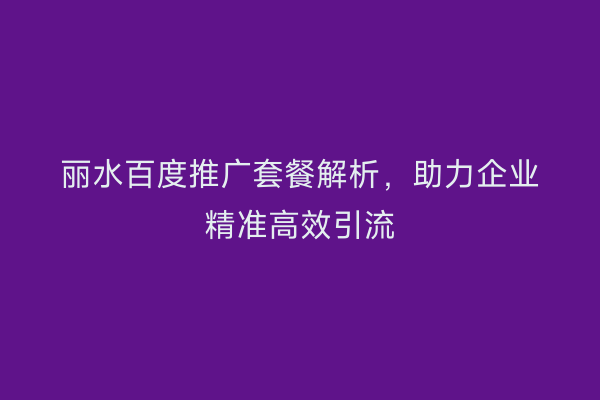丽水百度推广套餐解析,助力企业精准高效引流