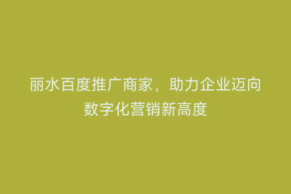 丽水百度推广商家,助力企业迈向数字化营销新高度