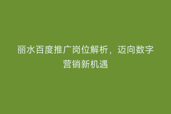 丽水百度推广岗位解析,迈向数字营销新机遇
