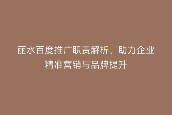 丽水百度推广职责解析，助力企业精准营销与品牌提升
