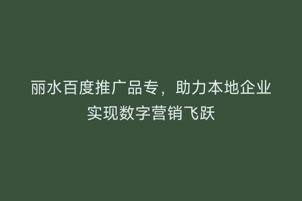 丽水百度推广品专，助力本地企业实现数字营销飞跃