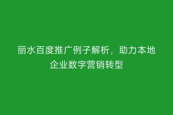 丽水百度推广例子解析，助力本地企业数字营销转型