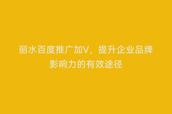 丽水百度推广加V,提升企业品牌影响力的有效途径