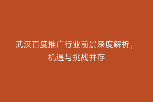 武汉百度推广行业前景深度解析，机遇与挑战并存