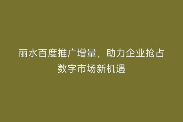 丽水百度推广增量,助力企业抢占数字市场新机遇