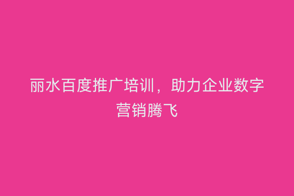 丽水百度推广培训,助力企业数字营销腾飞