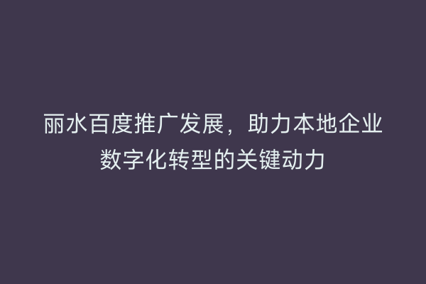 丽水百度推广发展,助力本地企业数字化转型的关键动力