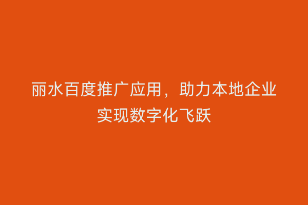 丽水百度推广应用,助力本地企业实现数字化飞跃