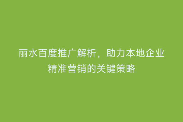 丽水百度推广解析，助力本地企业精准营销的关键策略