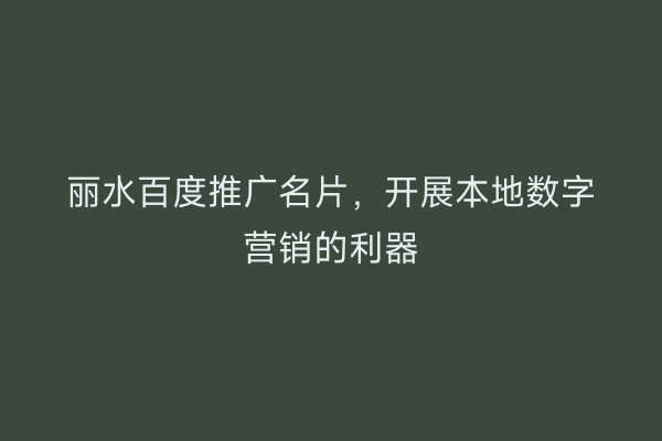 丽水百度推广名片,开展本地数字营销的利器
