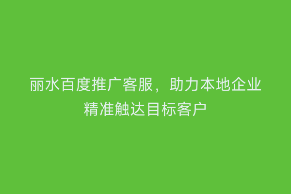 丽水百度推广客服，助力本地企业精准触达目标客户