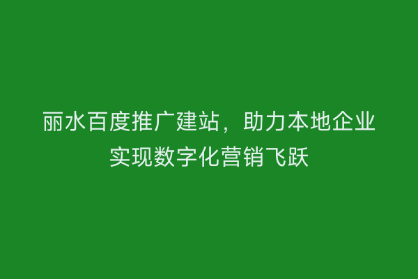 丽水百度推广建站，助力本地企业实现数字化营销飞跃