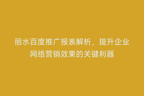 丽水百度推广报表解析,提升企业网络营销效果的关键利器