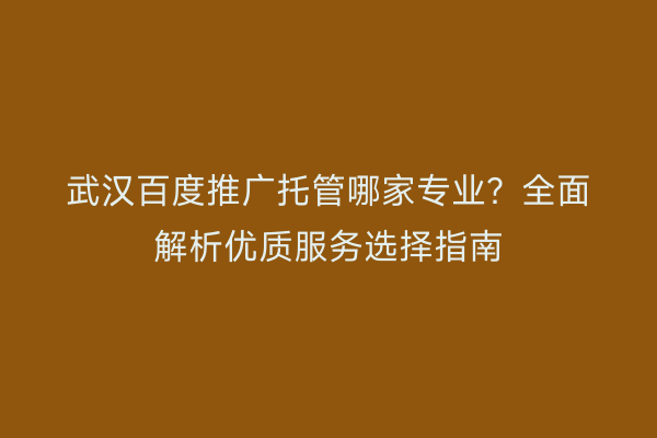 武汉百度推广托管哪家专业？全面解析优质服务选择指南