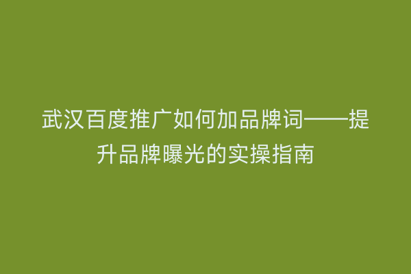 武汉百度推广如何加品牌词——提升品牌曝光的实操指南