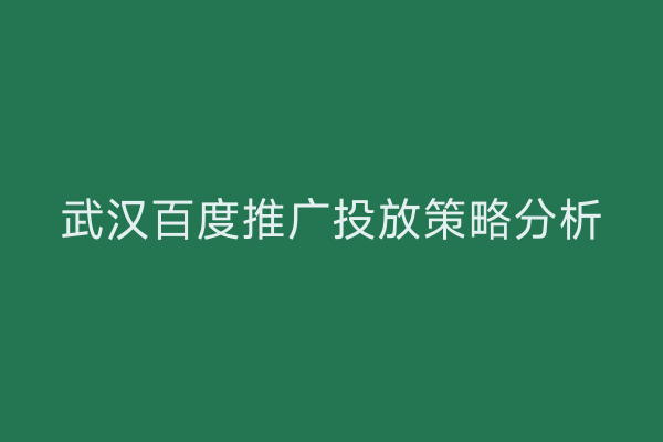 武汉百度推广投放策略分析