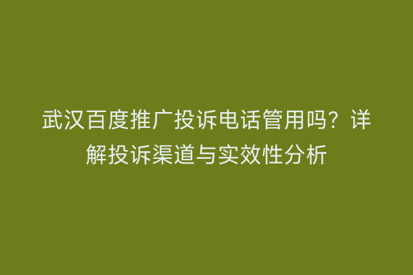 武汉百度推广投诉电话管用吗？详解投诉渠道与实效性分析