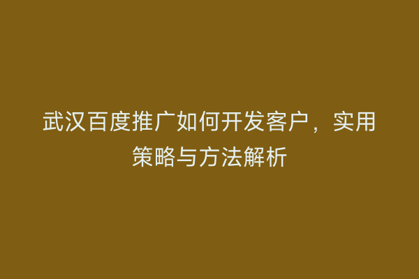 武汉百度推广如何开发客户，实用策略与方法解析