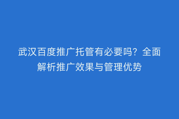 武汉百度推广托管有必要吗？全面解析推广效果与管理优势