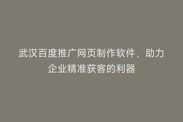 武汉百度推广网页制作软件，助力企业精准获客的利器