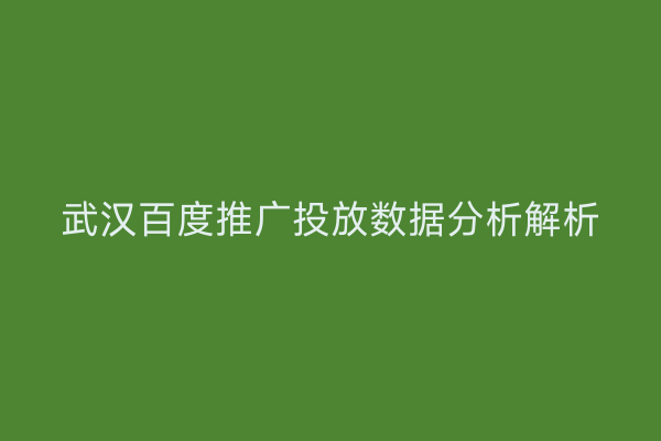 武汉百度推广投放数据分析解析