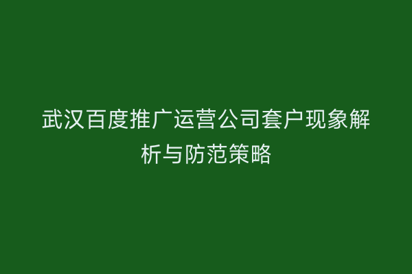 武汉百度推广运营公司套户现象解析与防范策略