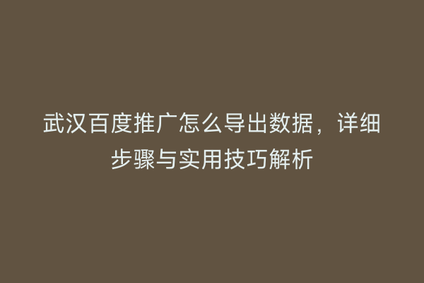 武汉百度推广怎么导出数据，详细步骤与实用技巧解析