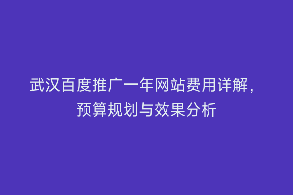 武汉百度推广一年网站费用详解，预算规划与效果分析