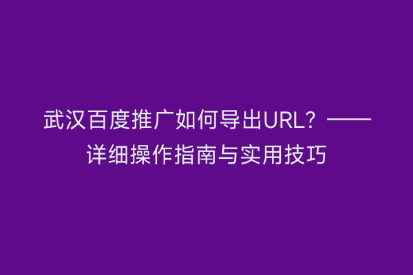 武汉百度推广如何导出URL？——详细操作指南与实用技巧