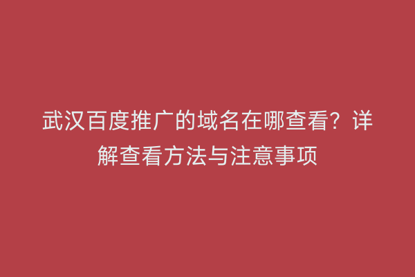 武汉百度推广的域名在哪查看？详解查看方法与注意事项