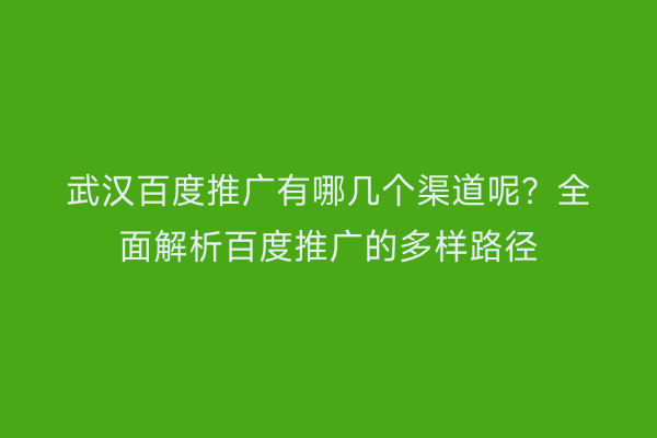武汉百度推广有哪几个渠道呢？全面解析百度推广的多样路径