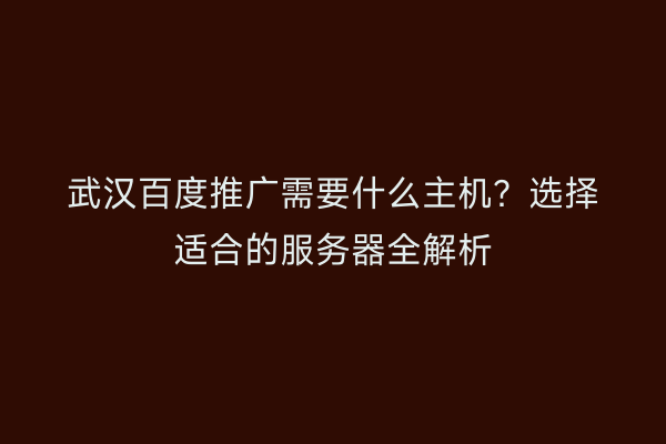 武汉百度推广需要什么主机？选择适合的服务器全解析