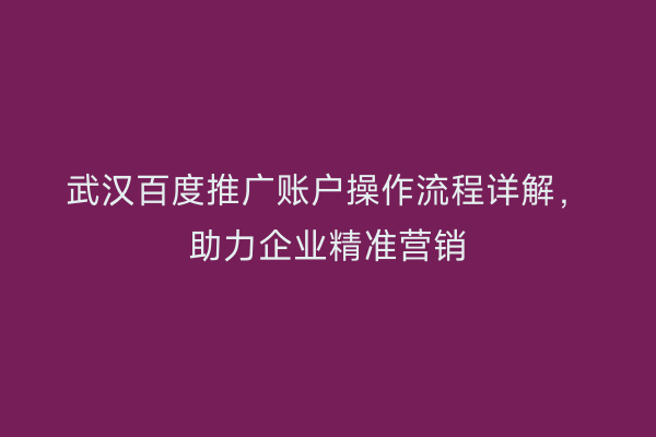 武汉百度推广账户操作流程详解，助力企业精准营销