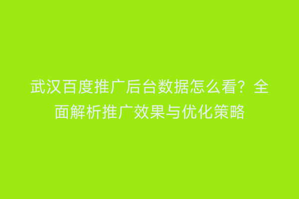 武汉百度推广后台数据怎么看？全面解析推广效果与优化策略