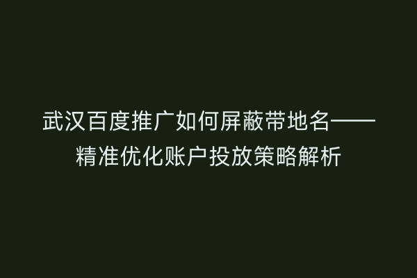 武汉百度推广如何屏蔽带地名——精准优化账户投放策略解析