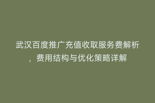 武汉百度推广充值收取服务费解析，费用结构与优化策略详解
