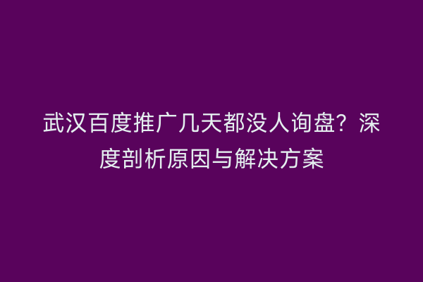 武汉百度推广几天都没人询盘？深度剖析原因与解决方案